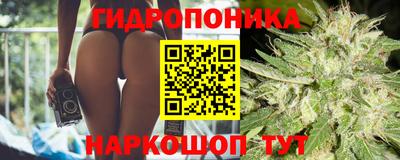 ALPHA PVP Ярославль