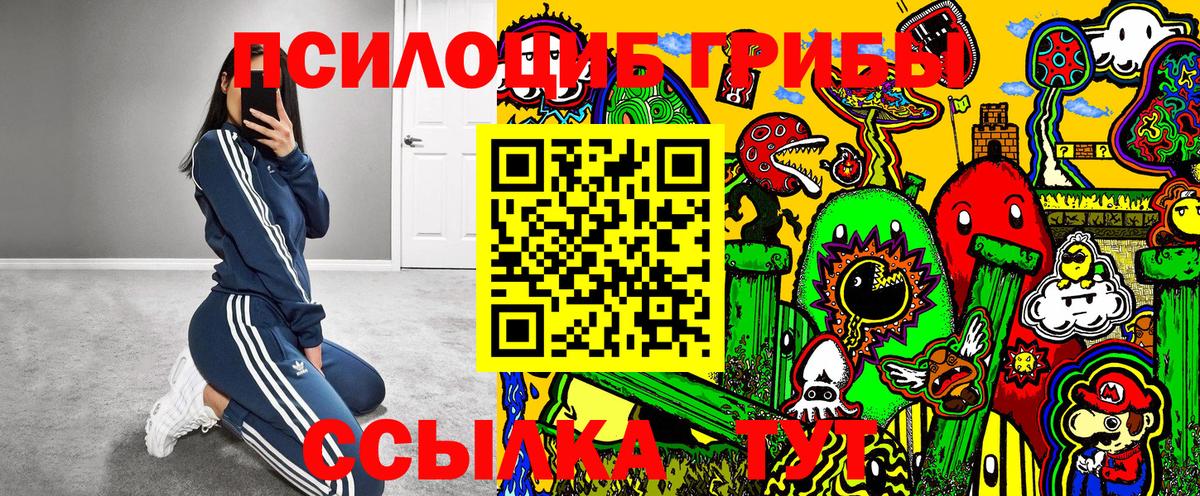 Галлюциногенные грибы мухоморы  Заинск  Псилоцибиновые грибы мицелий 