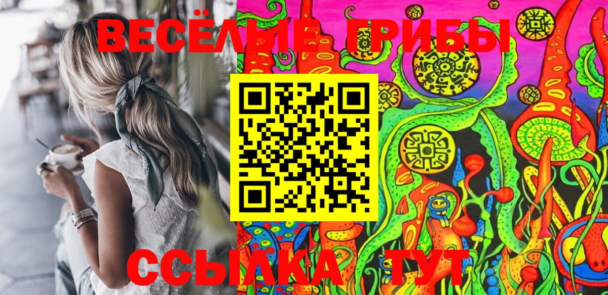 Псилоцибиновые грибы мицелий Заинск