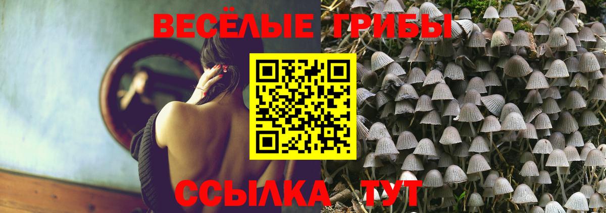 Псилоцибиновые грибы Psilocybe  Псилоцибиновые грибы MAGIC MUSHROOMS  Вход с VPN  Заинск 