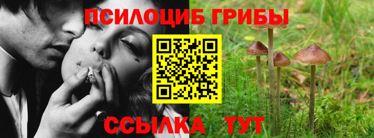 Псилоцибиновые грибы Cubensis Заинск